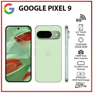 Google Pixel 9 5G 12GB+256GB WINTERGREEN Dual SIM Unlocked Android Mobile Phone - Afbeelding 1 van 7