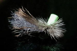 SEDGE INDICATEUR FOAM VERT FLUO mouche SERENITY - qty/taille - dry fly fishing - Photo 1/1