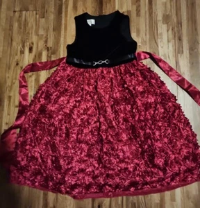 Girls America princess size 8 embellished Christmas dress - Picture 1 of 9