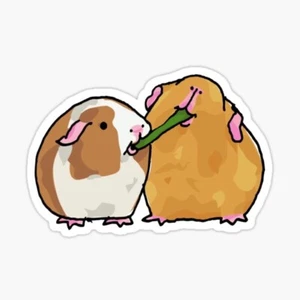 Niedliche Meerschweinchen teilen Essen Haustier Vinyl Aufkleber Sticker für Handy Laptop Stoßstange - Bild 1 von 1