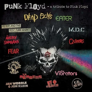 Various Artists Punk Floyd: A Tribute to Pink Floyd (Vinyl) (US IMPORT) - Picture 1 of 3
