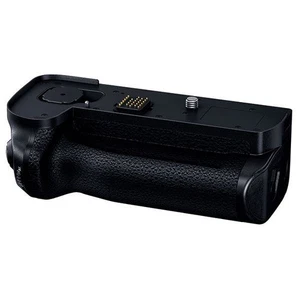 Panasonic DMW-BGS1 Battery Grip for DC-S1/S1R/S1H Excellent Condition JAPAN - Picture 1 of 1