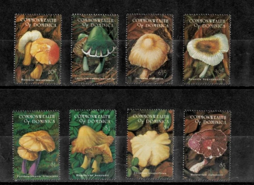 Dominica 1994 - Mushrooms - Set of 8 Stamps - Scott #1657-64 - MNH - Image 1 of 1