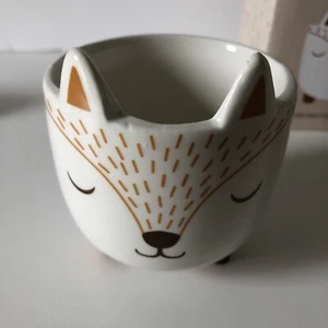 Sass And Belle Fox Mini Planter Woodland Boxed Plant Pot Home Decor Cute Cottage - Picture 1 of 16