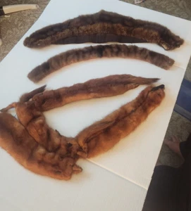 vintage 1940s 4 MINK STOLE PELTS plus a NECK STOLE AND Another PELT wrap - Picture 1 of 13