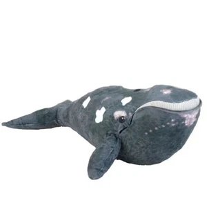 Peluche de ballena franca norteña peluche Cuddlekins Eco Wild Republic - Imagen 1 de 3