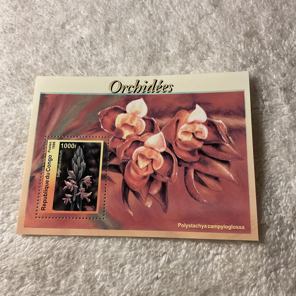 CONGO-(-1999-)-FLORES,orquídeas -HOJA DE RECUERDO-MNH-SS#01 Foto 1 de 1