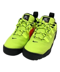 Nike SB Darwin Low Green Sneakers Men Green FQ3000-700 - Picture 1 of 9