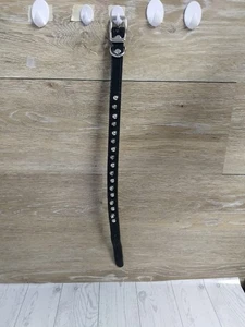Circle T Hundehalsband schwarz Stachel 16 Zoll - Bild 1 von 4