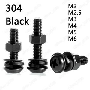 Tornillos de cabeza de sartén negros 304SS Phillips con cuello tuercas hexagonales lavadora de resorte plano M2 - Imagen 1 de 5