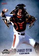 2014 Aberdeen Ironbirds Choice #13 Jonah Heim Amherst New York NY Baseall Card