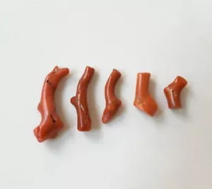 26.50' Karat 5' Stück 100% Natürlich Italienische Orange Koralle Poliert Lose - Bild 1 von 5