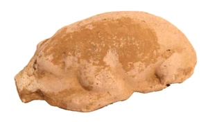 Han Dynasty Terracotta model of A Pig - Picture 1 of 5