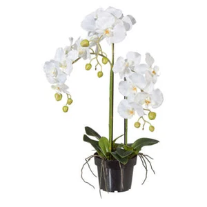 Künstliche Orchidee 62cm weiß im Topf Dekorative Kunstblume für Wohnzimmer Groß - Bild 1 von 1