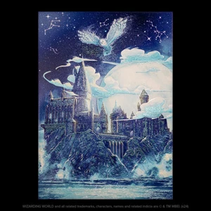 🔥DISPLATE® LIMITED EDITION ?/1700 | HARRY POTTER - HOGWARTS CASTLE | NEU & OVP - Bild 1 von 5