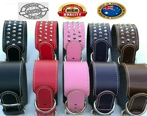 AUSTRALIAN MADE GENUINE Leather Wide Dog Collar Leads Harness Studded Plain Stud - Picture 1 of 12