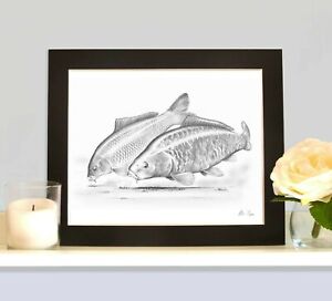 THE COMMON AND THE MIRROR Carp Picture Fishing Present Fish Art Drawing Print
