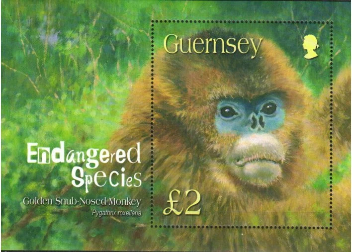 Sello Gran Bretaña-Guernsey 816 - Año del Mono Foto 1 de 1