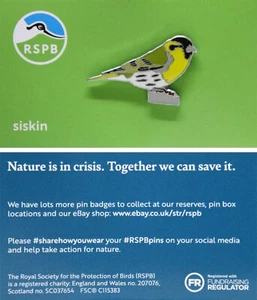 RSPB Pin Badge siskin NIIC P03129 - Picture 1 of 1
