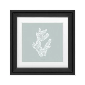 Quadro Milepora - Imagen 1 de 3