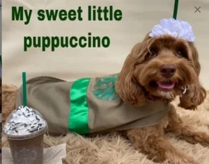 NEW frappuccino coffee Dog Halloween Costume S M L XXL handmade food Starbucks - Picture 1 of 18