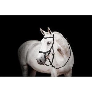 Horseware Micklem 2 Competition Trense schwarz - Bild 1 von 4