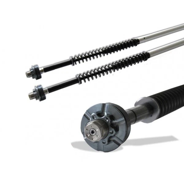 ANDREANI Kit cartucce forcella regolabili "MISANO" HARLEY DAVIDSON V-ROD 2010 Foto 1 de 1