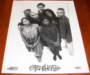 Speerspitze 8x10 s/w Pressefoto Capitol Records 1994 Michael Franti - Bild 1 von 1