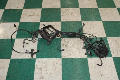 00-06 Heritage Softail Classic FLSCI Loom Main Motor Engine Wire Wiring Harness Foto 1 de 4