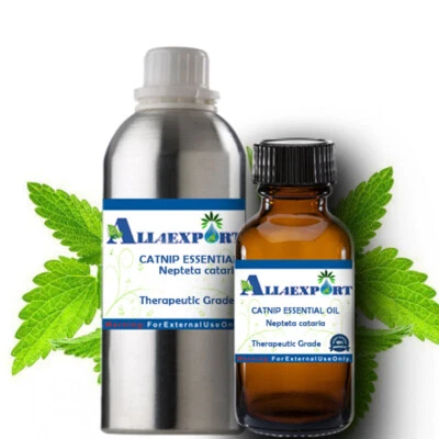 PURE CATNIP ESSENTIAL OIL Nepteta cataria NATURAL HERBAL FRAGRANCE - Image 1 of 3