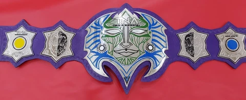 TNA JEFF HARDY WRESTLING CHAMPIONSHIP ADULT SIZE REPLICA BELT 2MM BRASS Cover