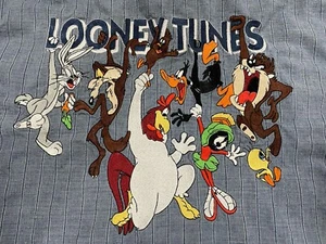 Vintage Looney Tunes Toons Sz M Button Down Jean Denim Shirt 90s WB Bros Studio - Picture 1 of 6