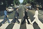 Merchandising Beatles (The): Abbey Road (Poster 61x91,50 Cm)