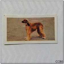 Horniman's Tea Card Dogs #1 Afghan Hound (A) (CC80)