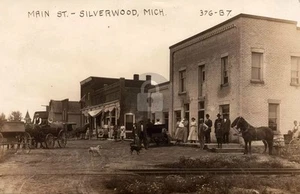 Silverwood MI Michigan People Main Street View 1910s RPPC Photo Postcard COPY - Picture 1 of 2