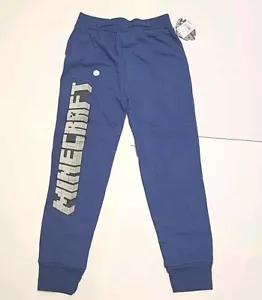 Boys Minecraft Large Sweatpants Joggers Video Game Logo Blue Elastic Waist Nwt - Picture 1 of 12