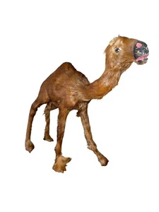 Vintage Nativity Brown Camel Real Hair Glass Eyes Handmade Rare Unique - Picture 1 of 9