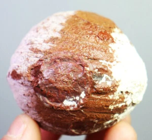 Piedra mineral de cristal de cuarzo ágata original natural de 179 g Madagascar - Imagen 1 de 10