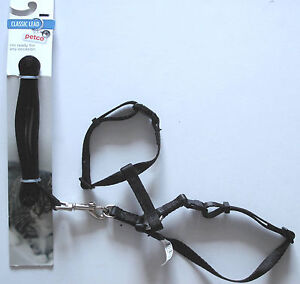 Adjustable Cat Kitten Harness Collar & Lead Set Nylon Black 3/8in x 4ft Petco