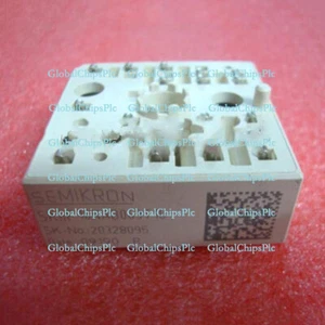 Módulo One SEMIKRON Nuevo SKIIP10NAB063T10 Envío Gratis - Imagen 1 de 1