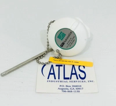 SENSOR DE TEMPERATURA AUTOMATIZACIÓN GSI R5T185L483-006-SL-00063 (A37) Foto 1 de 2