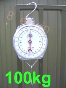 Quality Mechanical Hanging Metal Scale up to 100 kg - Cushioning Box Packed - Picture 1 of 4