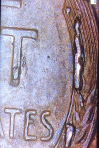 1955 P Lincoln Wheat Cent Penny MULTIPLE Die Chips on Reverse - Picture 1 of 4