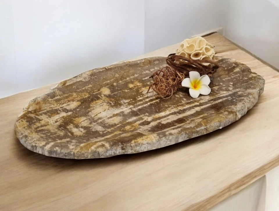 Bandeja de cuenco decorativo de madera fosilizada piedra natural rústico ovalado Foto 1 de 4