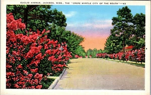 Postal, de colección, Euclid Ave, Jackson, MS, Crepe Myrtle, años 20 (PC82) - Imagen 1 de 2