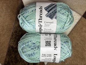 Loops & Threads Carousel Twist Yarn Tide Pool Lot of 2 Skeins Bulky 5 Craft - Picture 1 of 1