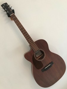 Las mejores ofertas en Guitarras eléctricas acústicas Harley Benton | eBay