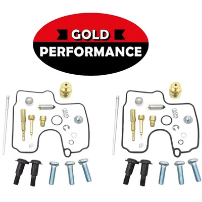 GOLD PERFORMANCE 2 KIT REVISIONE CARBURATORE SUZUKI SV 650 1999 2000 2001 2002