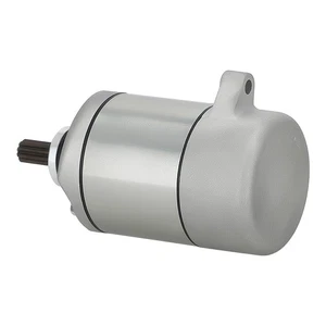 Starter Motor fit for Honda Sportrax Recon 250 TRX250X TM 2X4 31200-HM8-003 - Picture 1 of 19