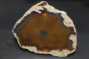 Condor agate collector specimen - Picture 1 of 4